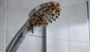 Hydraulik ostrzega: ten popularny trik z octem niszczy Twój prysznic zamiast go czyścić